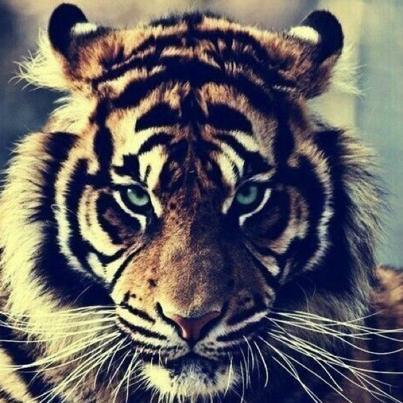 Meet your Posher, Cari - Picture 8 of 8